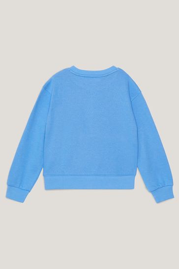 Blue tommy on sale sweatshirt