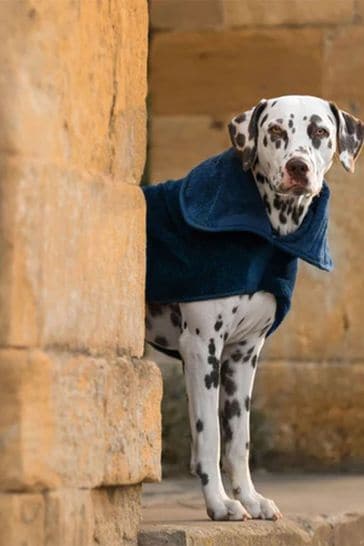 Buy Lords and Labradors Blue Dog Drying Coat from Next Luxembourg