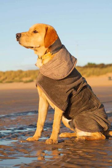 Coats for labradors cheap