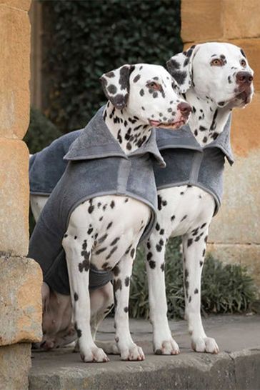 Grey dog coat shop