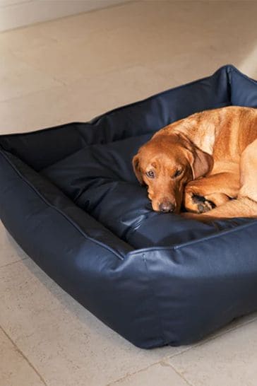 Lords and Labradors Blue Dog Box Bed in Rhino Leather