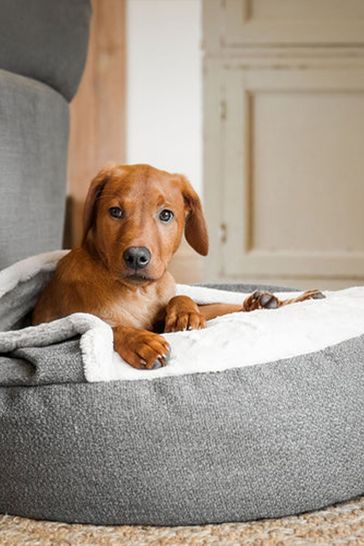 Laura ashley dog bed top