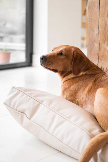 Leather dog cushion best sale