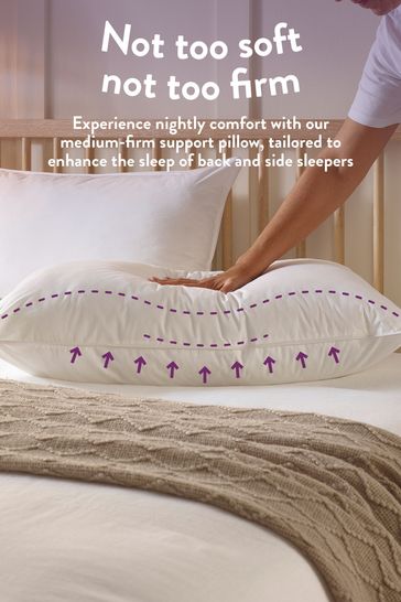 Slumberdown duck feather pillows online