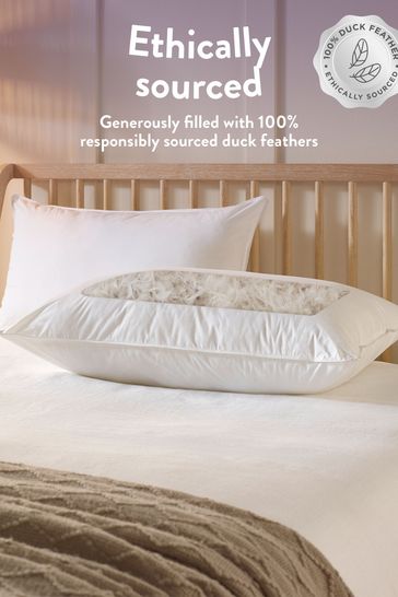 100 duck hot sale feather pillows