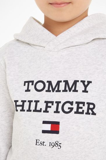 Tommy hilfiger gray clearance hoodie