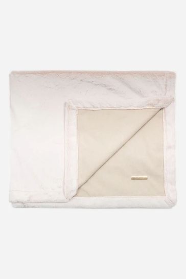 Dog top picture blanket