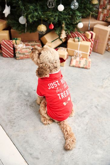 Society 8 Red Just Here Christmas Jumper Dog