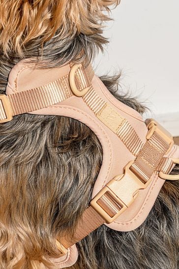 Wild 2025 one harness