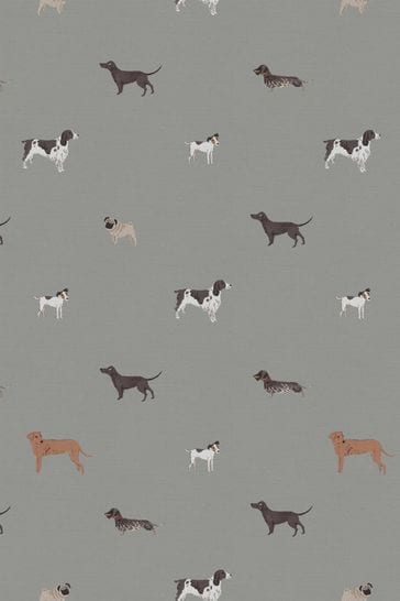 Sophie allport spaniel sales