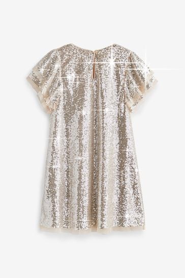 Mint velvet on sale sequin dress