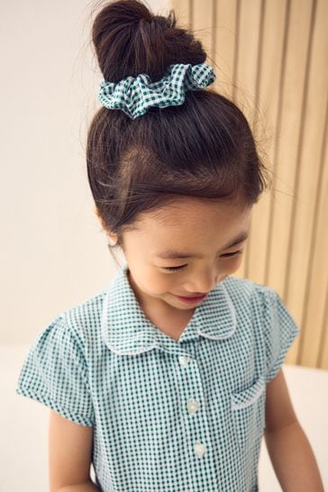 Buy Green Gingham Cotton Rich Belted School Dress With Scrunchie 3 14yrs from Next Luxembourg