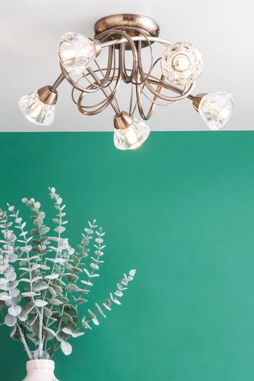 5 light ceiling light hot sale