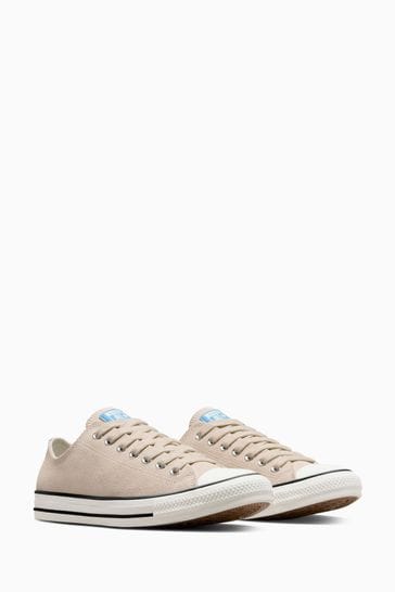Buy Converse Ivory Chuck Taylor All Star Suede Ox Low Trainers from Next Egypt