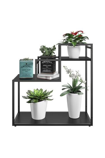 Next plant new arrivals stand