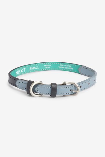 Buy Blue Leather Dog Collar from Next Luxembourg