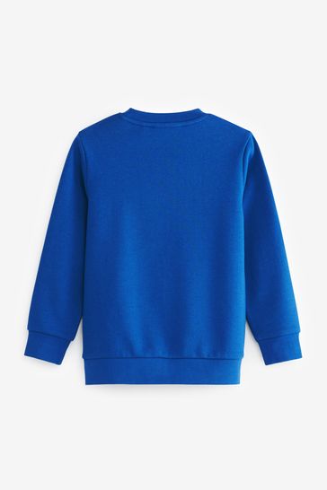 Blue crew neck sweater 2025