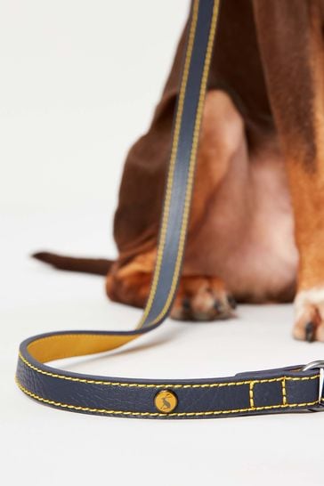 Joules dog best sale lead