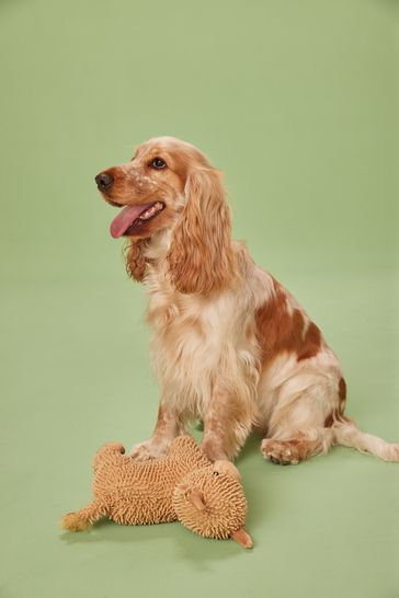 Highland cow shop dog toy