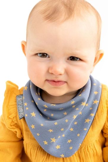 Cheeky baby bib best sale