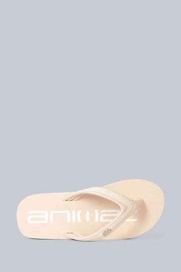 Animal online flip flops