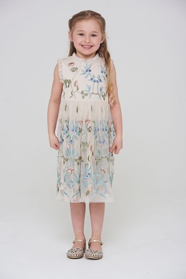 Amelia Rose Nude Floral Embroidered Dress