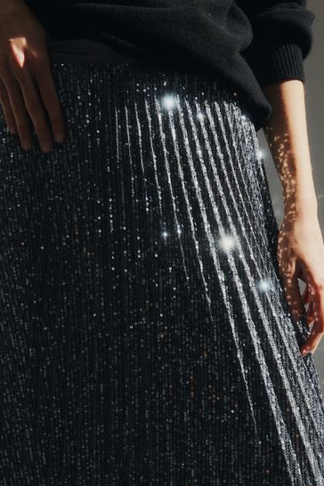 Buy Silver Premium Sequin Pleated Skirt from Next Luxembourg
