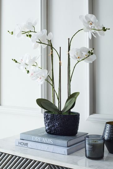 Navy Blue/White Artificial Real Touch Orchid In Hex Embossed Pot