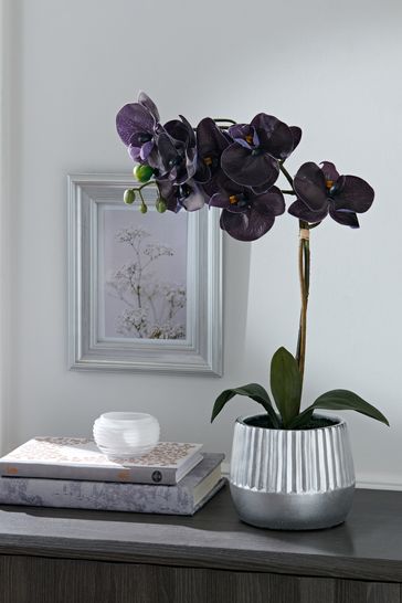 Black Artificial Orchid Flower In Silver Ceramic Pot