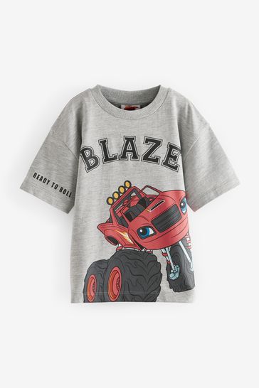 Buy Grey Blaze Short Sleeve License T Shirt 3mths 8yrs from Next Ireland
