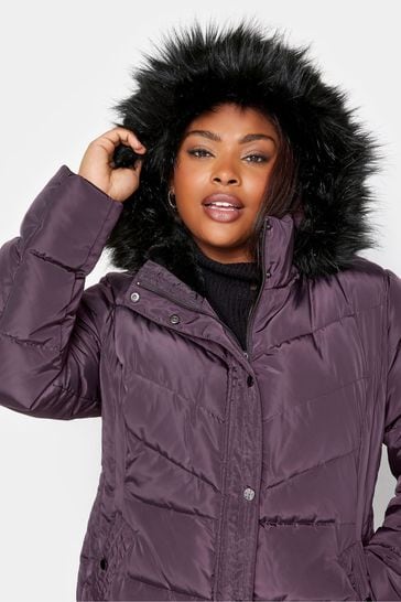 Buy Yours Curve Purple Puffa Short Jacket from Next Cyprus