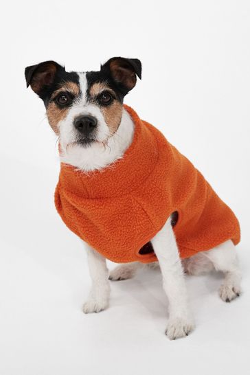 Next best sale dog clothes