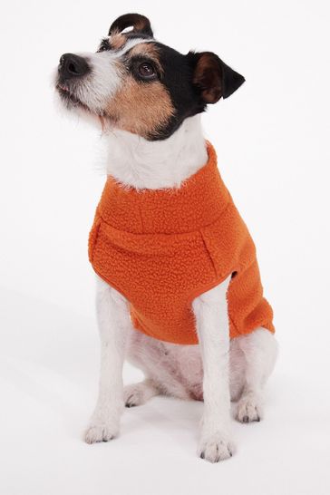 Next hot sale dog clothes