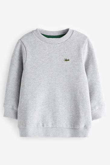 Lacoste boys sweatshirt store