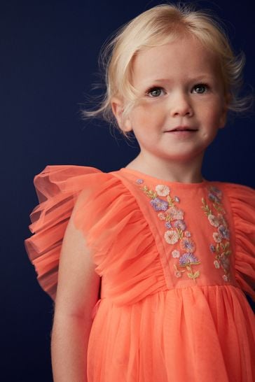 Buy Coral Pink Embroidered Mesh Party Dress 3mths 10yrs from