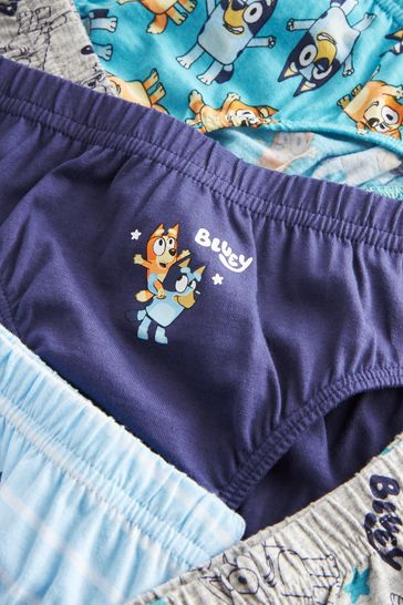 Buy Bluey 5 Pack Briefs (1.5-10yrs) from Next USA
