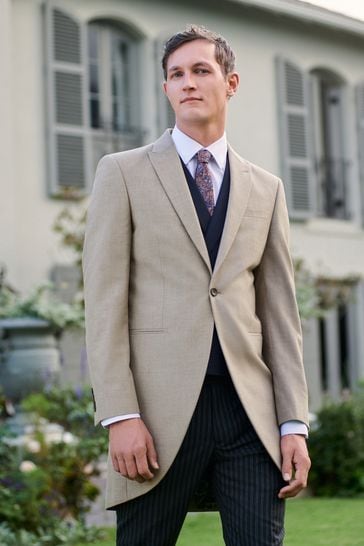 Next morning suit new arrivals
