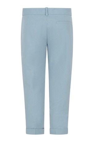 Boys Light Blue Cotton Striped Trousers