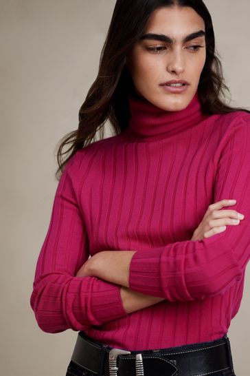 Buy Banana Republic Lucci Merino Turtleneck Jumper from Next Luxembourg