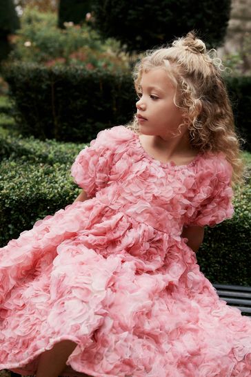 Buy 3D Floral Print Occasion Dress 3 16yrs from Next