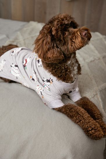 Next dog pyjamas 2025