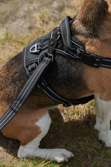 Buy dog harness deals