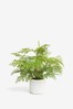 Green Artificial Fern Plant In White Ceramic Pot