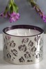 Purple Dark Orchid & Patchouli 3 Wick Scented Candle