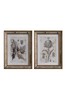 Fremont Botanical Studies Set of 2 Wall Art by Gallery Direct