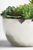 Artificial Succulents in Silver Bowl