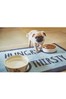 Howler & Scratch Multi Hungry Washable Pet Non Slip Feeding Mat