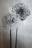 Arthouse Silver Metallics Aliums Canvas