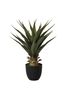 Gallery Home Multi Artificial Maguey Pot Plant