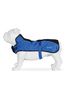 Regatta Blue Shep Dog Waterproof Coat